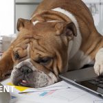How to Outsource Your Social Media