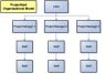 Projectized organizational structure for marketing project management