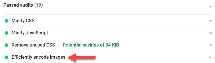 PageSpeed Insights: Passed Encoding Images