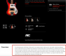 Second example of a duplicate product description